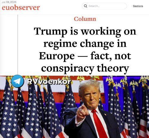     &quot; &quot;      ,  &quot;    &quot;    