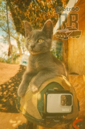  , . @btr80