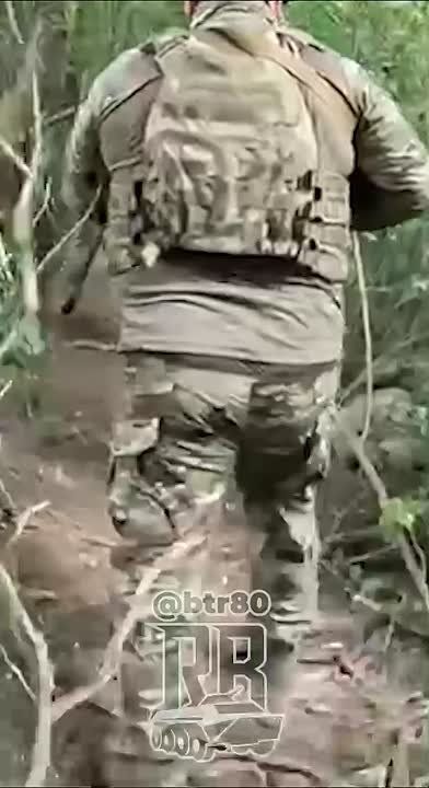 &quot; &quot; :         - 