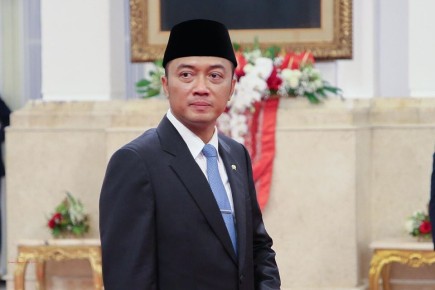    ,         10-   ,    