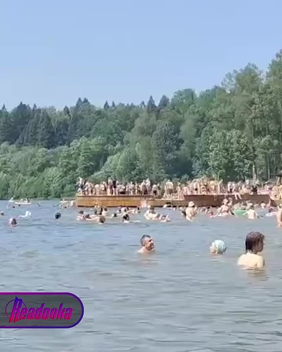   :    ,   ,      ,   