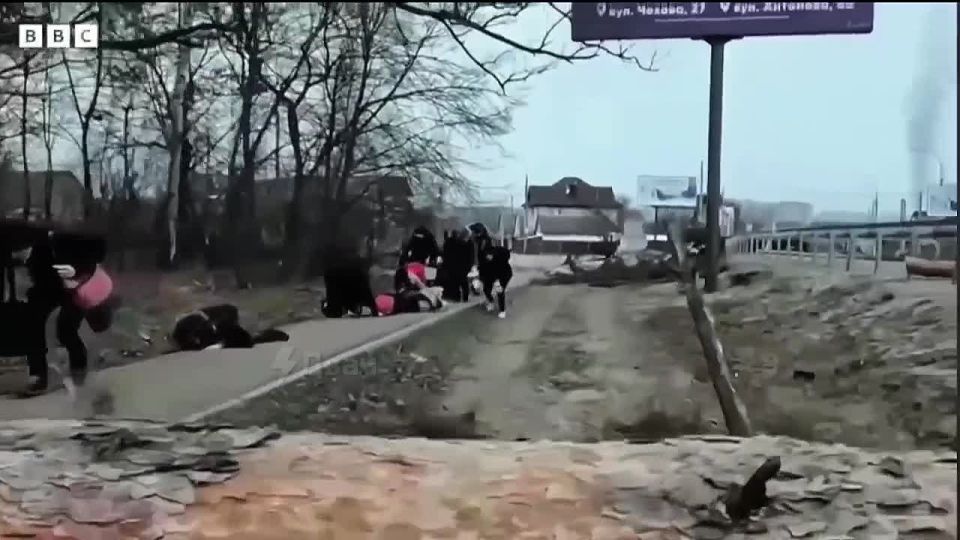   :       -  