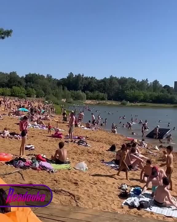     :     