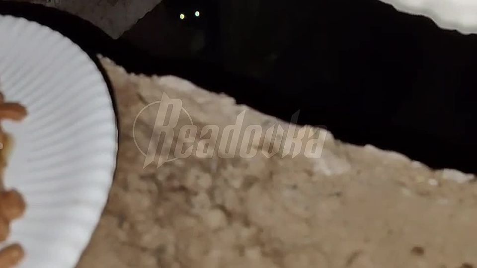       ,         8 