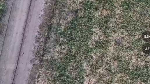 #_