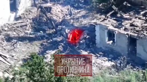    :  FPV    