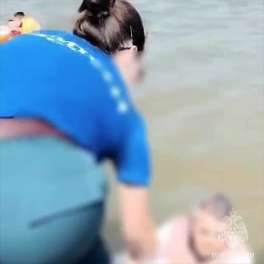      -   :      ,       