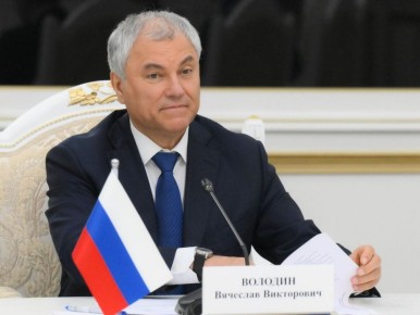 Володин призывает конфисковать активы инициаторов кражи замороженных средств