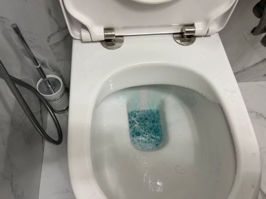 Зачем хозяйки засыпают в унитаз ложку соли перед приходом гостей