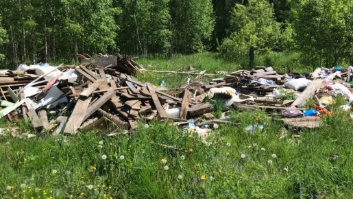 Пенсионерка оказалась в центре экологического скандала: 300 тысяч рублей за мусор на участке