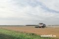 В Курганской области аграрии собрали 2 млн тонн зерна