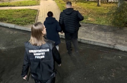 Следственным отделом по городу Курган 17-летней жительнице областного центра предъявлено обвинение в совершении двух эпизодов преступной деятельности, предусмотренной ч.3 ст.159 УК РФ (мошенничество в крупном размере)