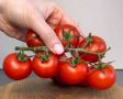 Станьте мастером кулинарии с этой простой закуской