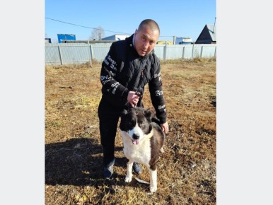 Алабай Берта нашла новый дом в Кургане