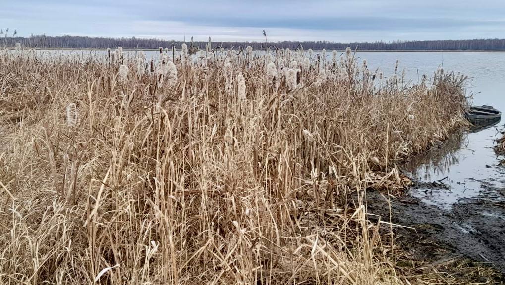 Каргапольским межрайонным следственным отделом проводится процессуальная проверка по факту гибели жителя Шатровского  муниципального округа, 1959 г.р.  на озере Малый Тукмыш Каргапольским межрайонным следственным отделом проводится процессуальная проверка по факту гибели жителя Шатровского  муниципального округа, 1959 г.р.  на озере Малый Тукмыш