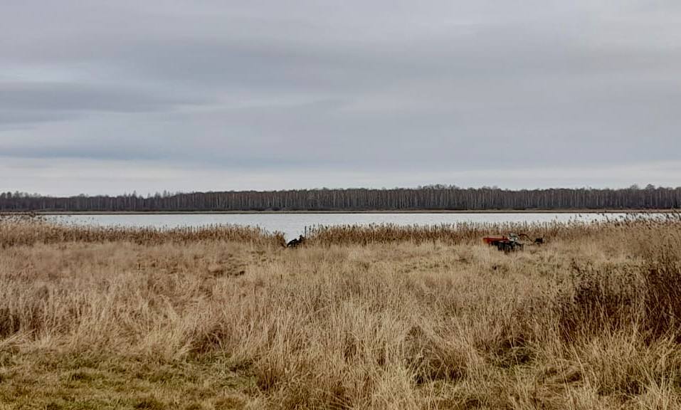Каргапольским межрайонным следственным отделом проводится процессуальная проверка по факту гибели жителя Шатровского  муниципального округа, 1959 г.р.  на озере Малый Тукмыш