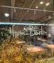 Уютный Берлин в центре Москвы: откройте новое меню в ресторане From Berlin