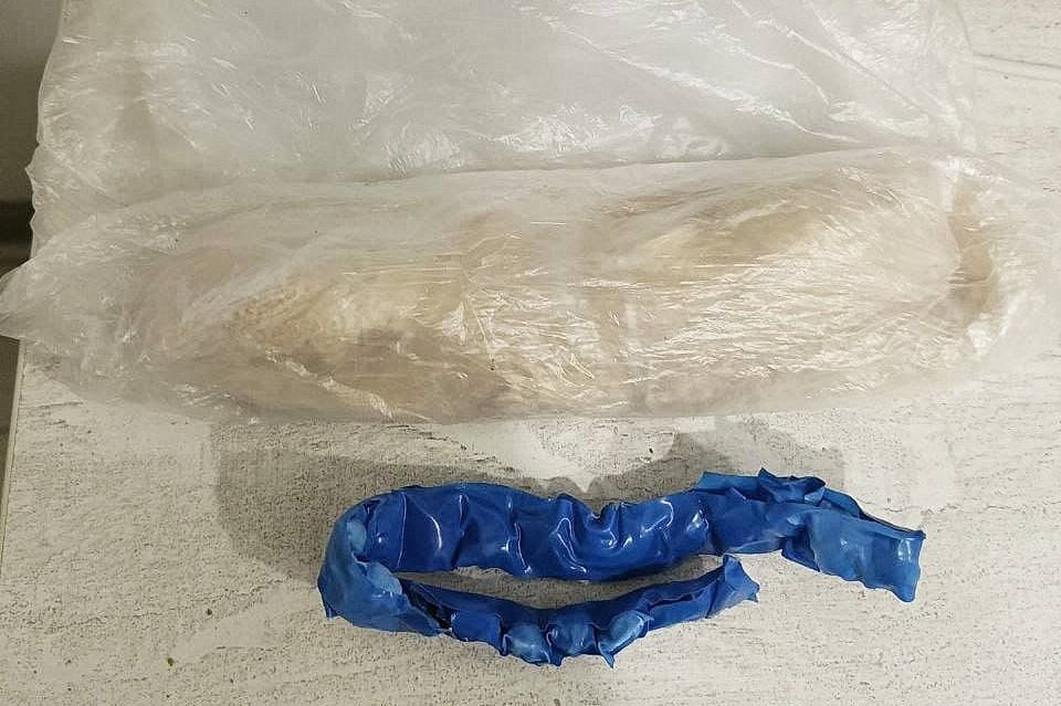              -   55-   ,      ...