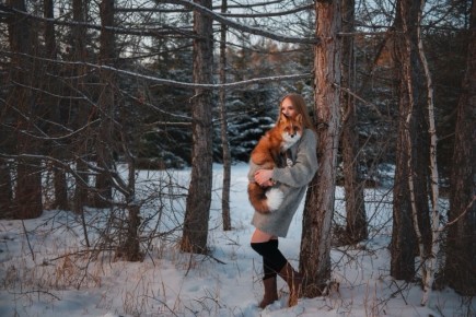 В одной из квартир Кургана живет настоящая лисица