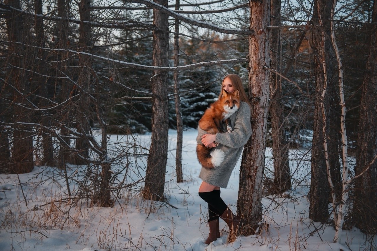 В одной из квартир Кургана живет настоящая лисица