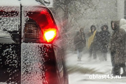 Зауральских водителей с летней резиной врасплох застанет мокрый снег