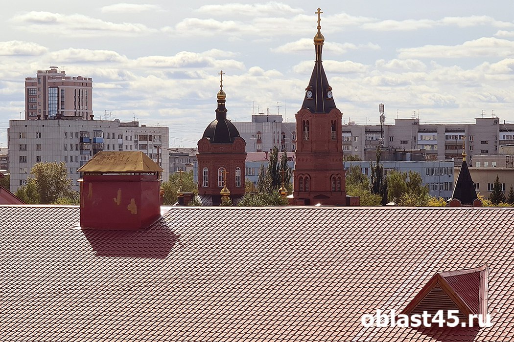 Главное за неделю в Курганской области: новые руководители, медали чемпионатов мира, спонсоры экстремистов