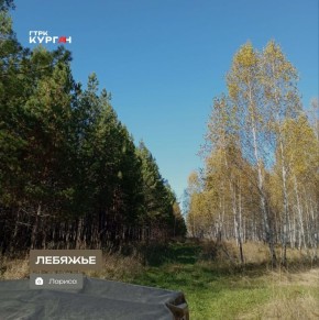 Доброе утро, зауральцы!. Сегодня в Кургане будет солнечно, но морозно — 4-6 градусов ниже нуля