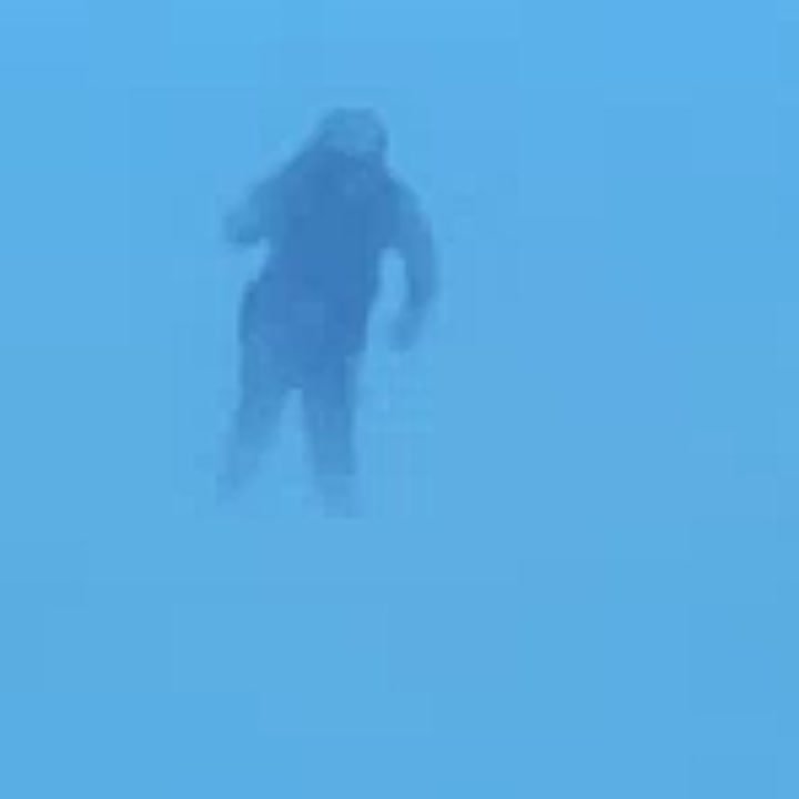 В ближайшие сутки в Курганской области прогнозируют мокрый снег, метель, снежный накат и порывы ветра до 15 м/с