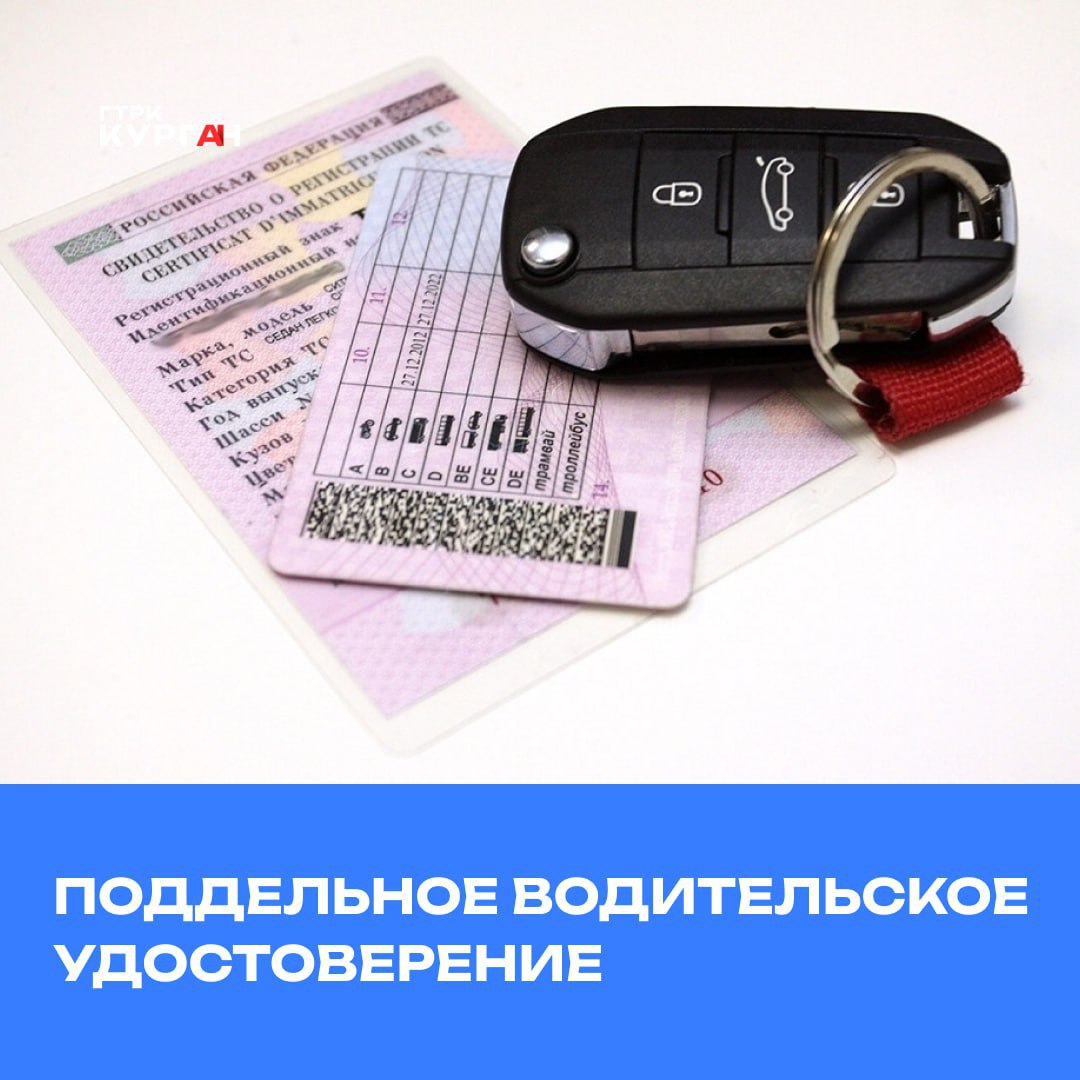 Поддельное водительское удостоверение: последствия использования