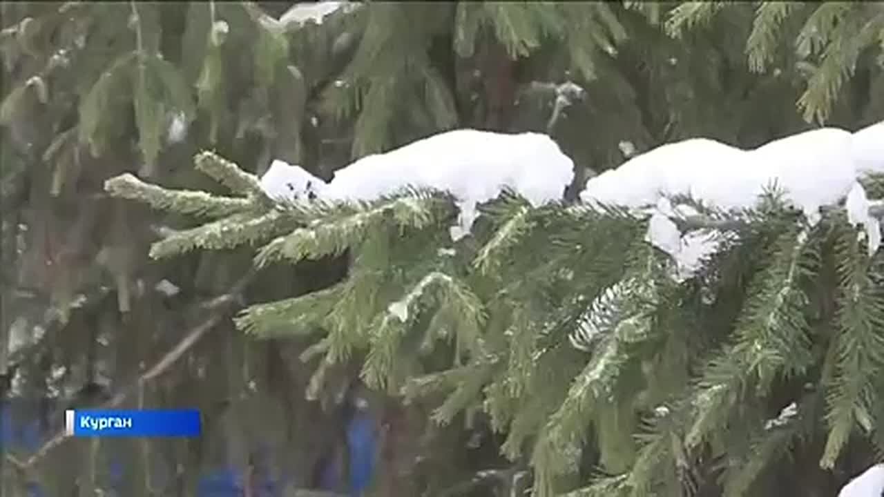 «Встречная полоса» от 8 ноября 2025 года