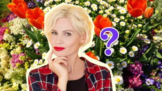 Запоздали с рассадой в марте? Эти 4 вида цветов можно сеять в апреле