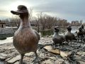 Статуя утки в курганском ЦПКиО обзавелась семьёй
