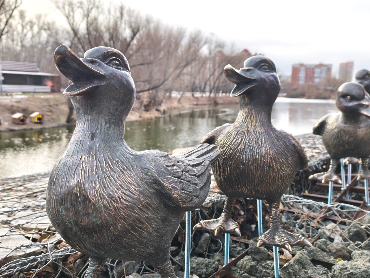 В ЦПКиО поселилась утиная семья В ЦПКиО поселилась утиная семья