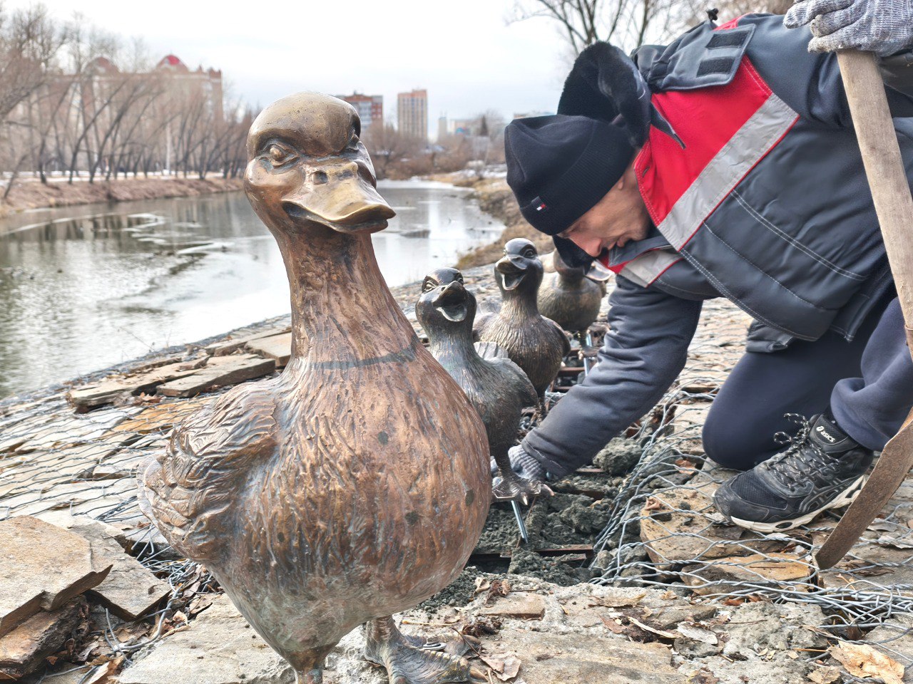 В ЦПКиО поселилась утиная семья В ЦПКиО поселилась утиная семья