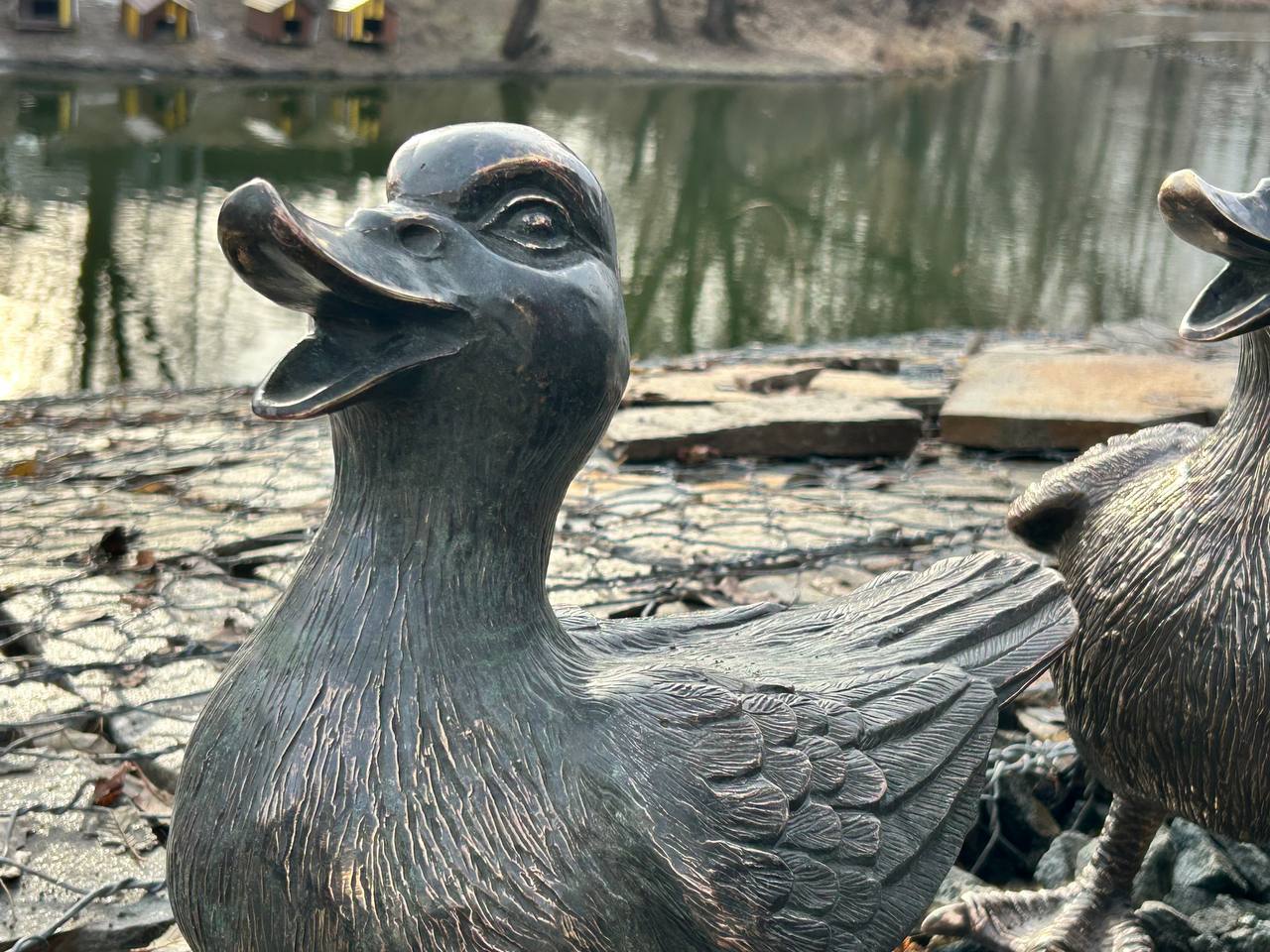 В ЦПКиО поселилась утиная семья