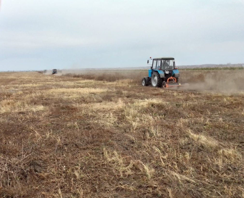 Окос населённых пунктов – необходимая профилактическая мера пожарной безопасности Окос населённых пунктов – необходимая профилактическая мера пожарной безопасности