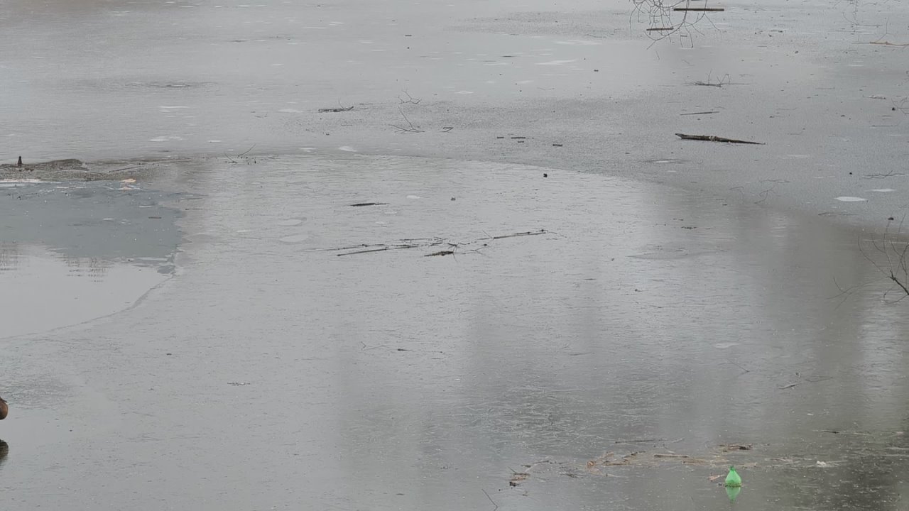 Вчера, 13 ноября, в Кургане было зафиксировано несколько случаев выхода на неокрепший лед водоемов подростками
