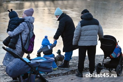 Воскресенье в Кургане будет дождливым и ветреным
