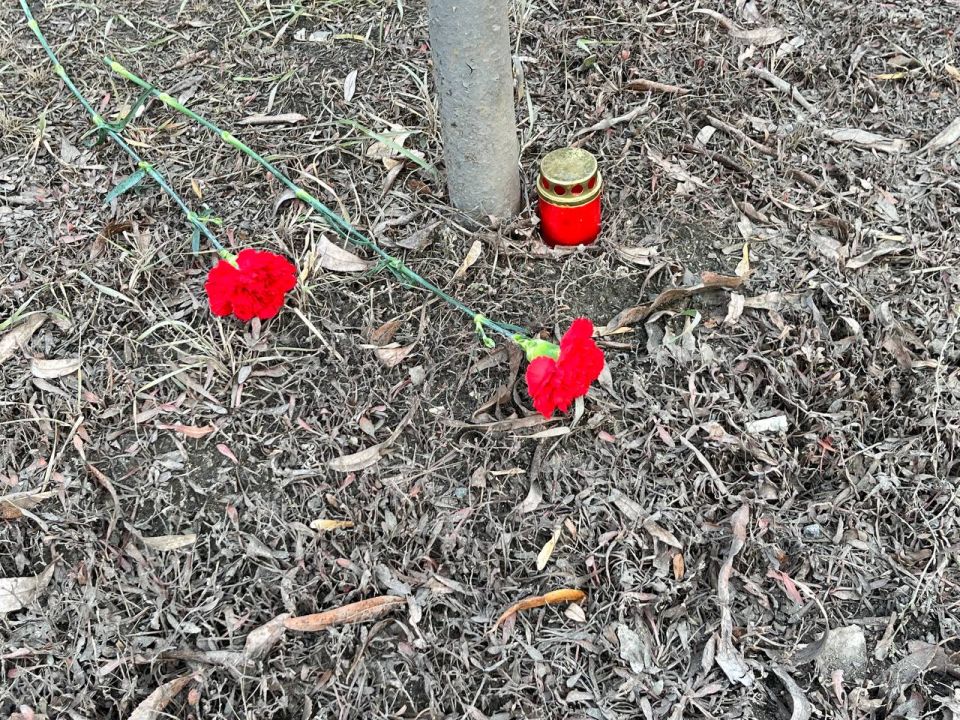 ,       ϻ,        ,   -  