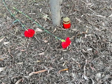 Сегодня, в рамках «Всемирного дня памяти жертв ДТП», сотрудники Госавтоинспекции почтили память погибших в этом году, в результате дорожно- транспортных происшествий