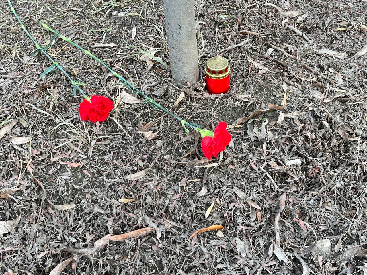 Сегодня, в рамках «Всемирного дня памяти жертв ДТП», сотрудники Госавтоинспекции почтили память погибших в этом году, в результате дорожно- транспортных происшествий