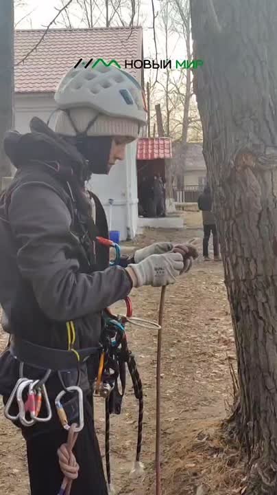 В Кургане прошли открытые городские соревнования по спортивному туризму «Туристята»