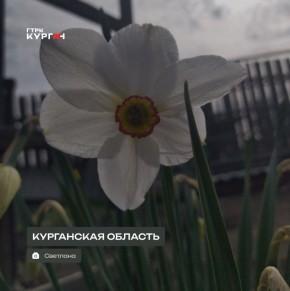 Доброе утро, зауральцы! С началом новой недели!