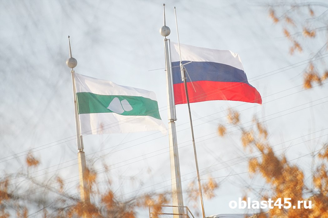 В Зауралье некоторым многодетным матерям выплатят по 300 тысяч рублей