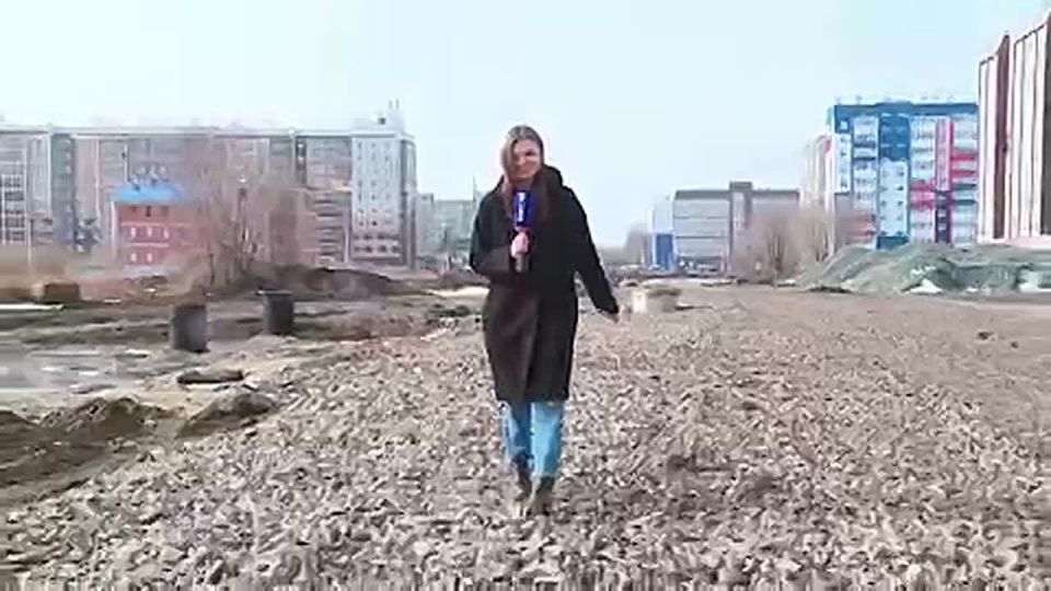  .     ,       ,   .      , ,      