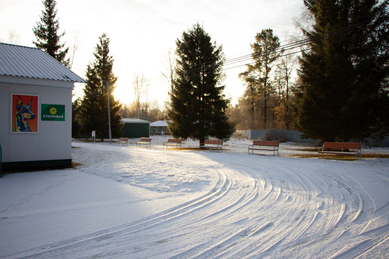 Антон Науменко: Также побывали в загородном лагере им. Коли Мяготина, который был восстановлен при поддержке правительства Курганской области и начал работу после длительного перерыва в 2023 году Антон Науменко: Также побывали в загородном лагере им. Коли Мяготина, который был восстановлен при поддержке правительства Курганской области и начал работу после длительного перерыва в 2023 году
