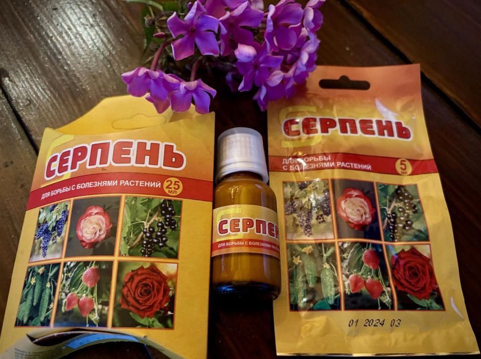 Как дачные препараты избавляют растения от мучнистой росы: тестирование "Серпень"