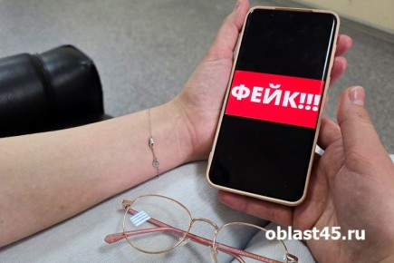 В Кургане распространяют фейки о школьном питании