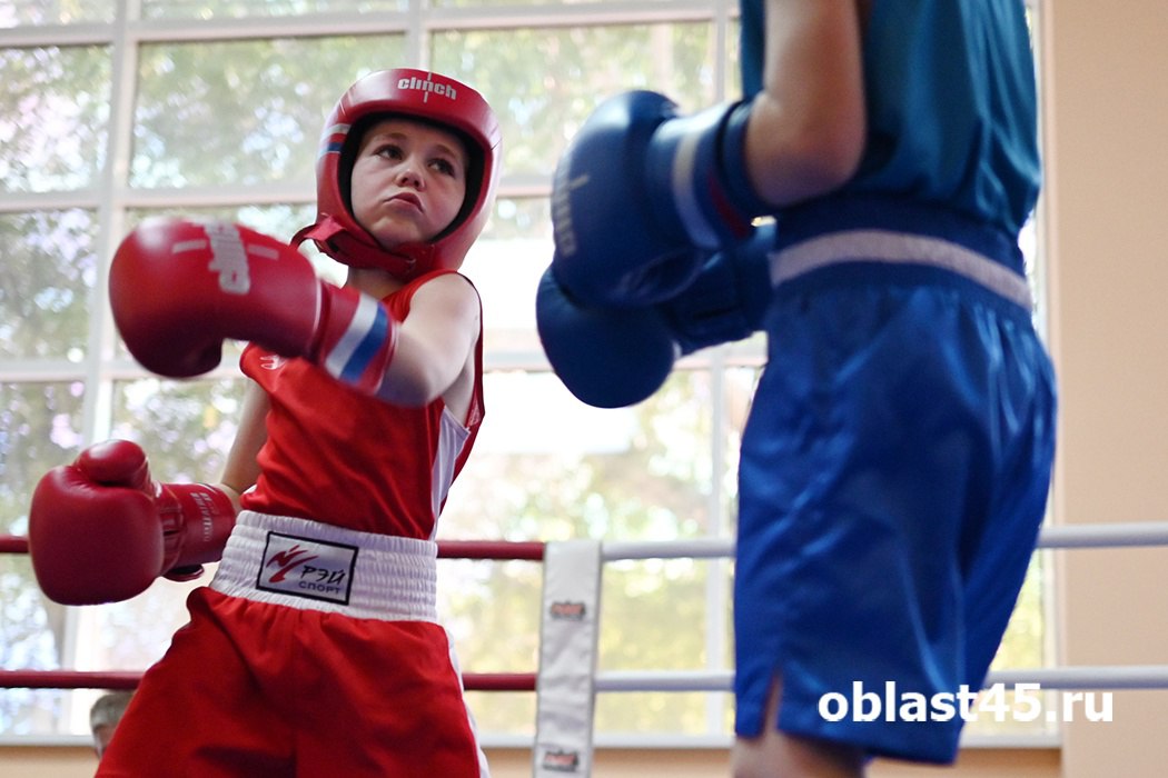 В Кургане пройдёт благотворительный вечер бокса в поддержку СВО