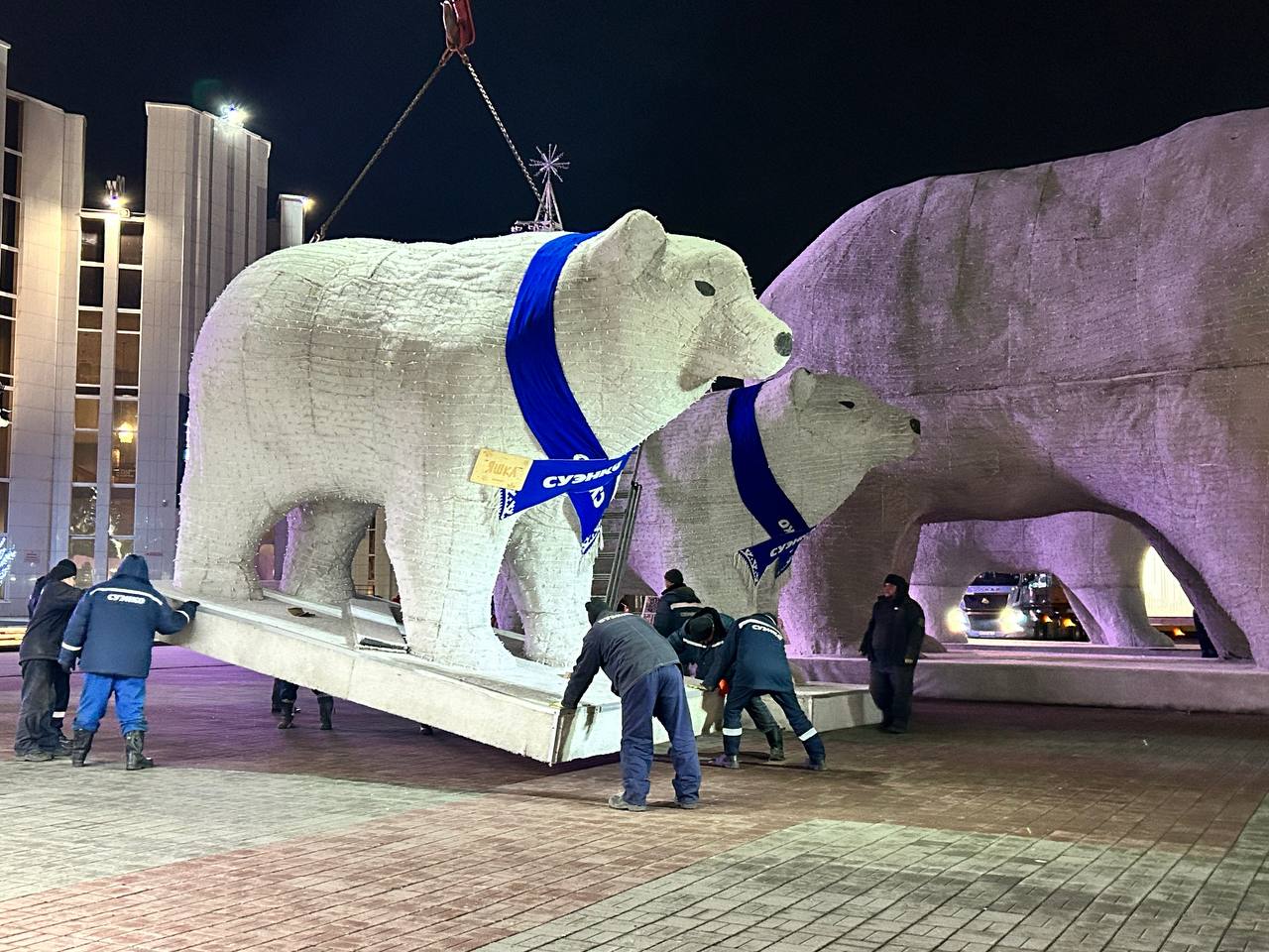 Сегодня в Курган прибыли белые медведи СУЭНКО Сегодня в Курган прибыли белые медведи СУЭНКО